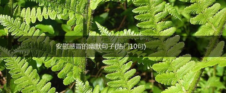 安慰感冒的幽默句子(热门10句),第1张