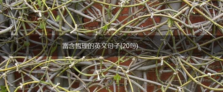 富含哲理的英文句子(20句),第1张