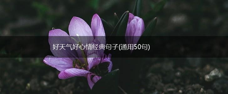 好天气好心情经典句子(通用50句),第1张