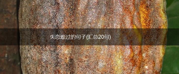 失恋难过的句子(汇总20句),第1张