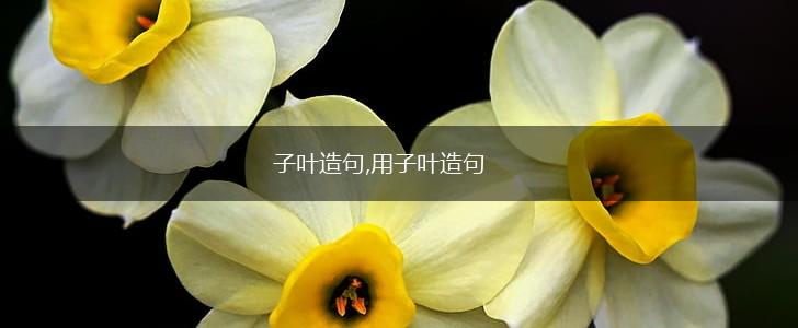 子叶造句,用子叶造句,第1张