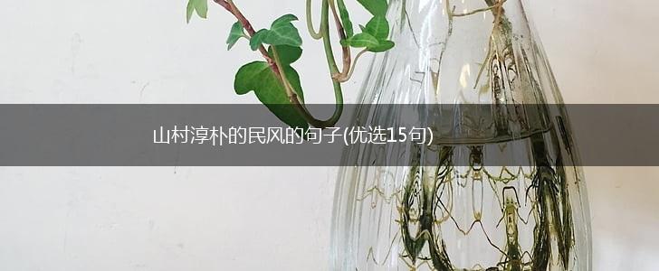 山村淳朴的民风的句子(优选15句),第1张
