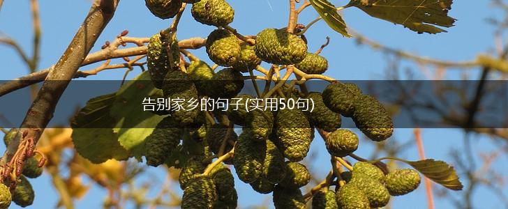 告别家乡的句子(实用50句),第1张