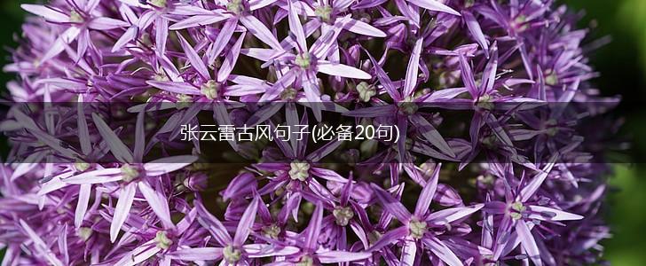 张云雷古风句子(必备20句),第1张