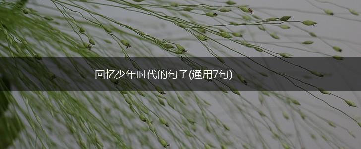 回忆少年时代的句子(通用7句),第1张