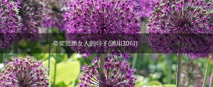 夸奖贤惠女人的句子(通用30句),第1张
