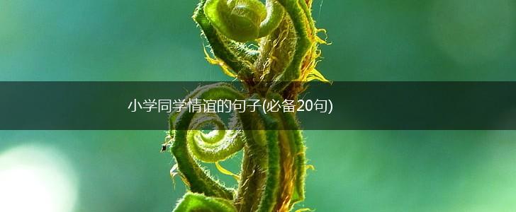 小学同学情谊的句子(必备20句),第1张