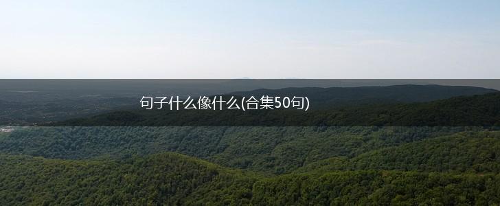句子什么像什么(合集50句),第1张