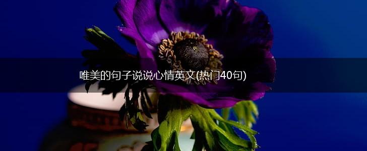 唯美的句子说说心情英文(热门40句),第1张