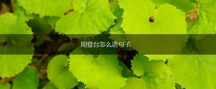 用登台怎么造句子,第1张