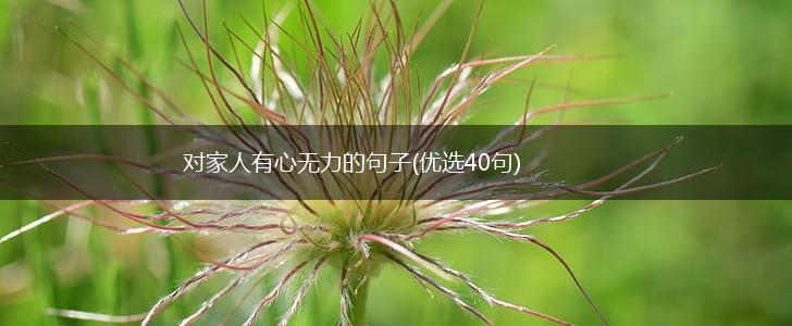 对家人有心无力的句子(优选40句),第1张