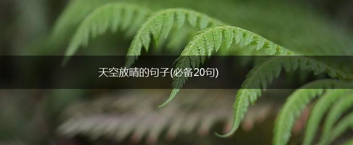 天空放晴的句子(必备20句),第1张