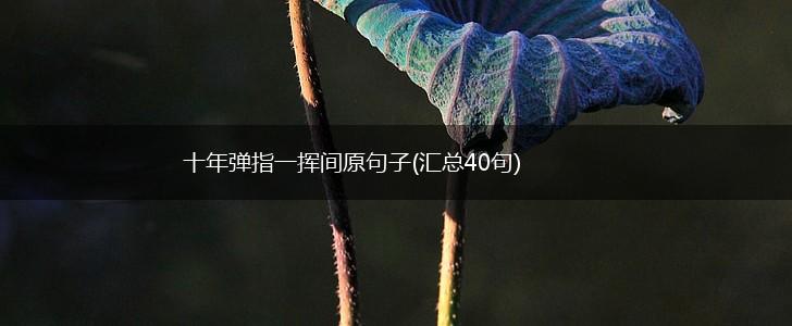 十年弹指一挥间原句子(汇总40句),第1张