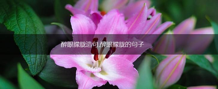 醉眼朦胧造句,醉眼朦胧的句子,第1张