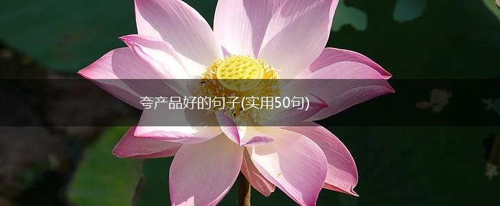 夸产品好的句子(实用50句),第1张