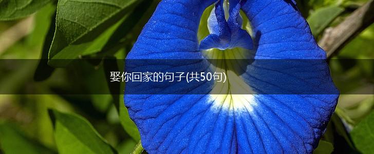 娶你回家的句子(共50句),第1张
