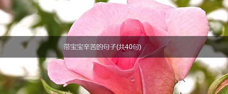 带宝宝辛苦的句子(共40句),第1张