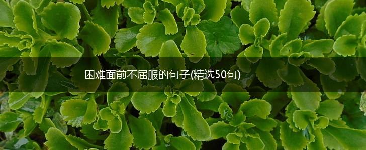 困难面前不屈服的句子(精选50句),第1张