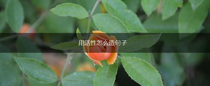 用活性怎么造句子,第1张