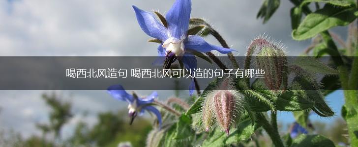 喝西北风造句 喝西北风可以造的句子有哪些,第1张
