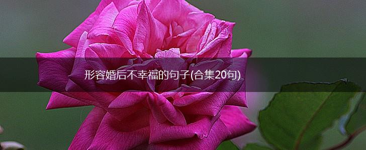 形容婚后不幸福的句子(合集20句),第1张