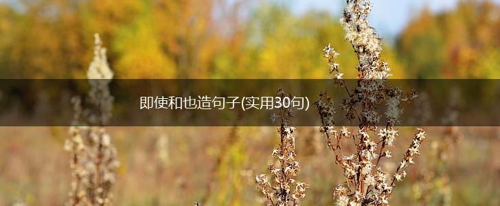 即使和也造句子(实用30句),第1张