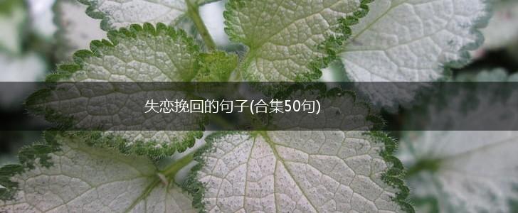 失恋挽回的句子(合集50句),第1张