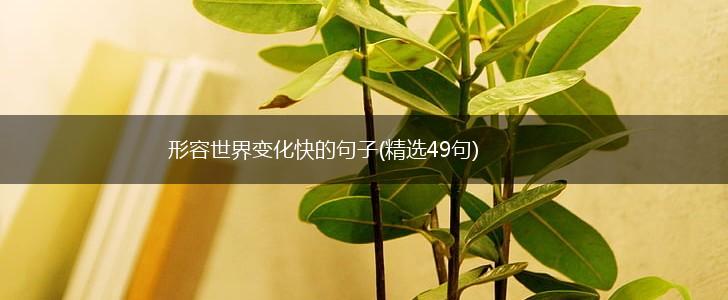 形容世界变化快的句子(精选49句),第1张