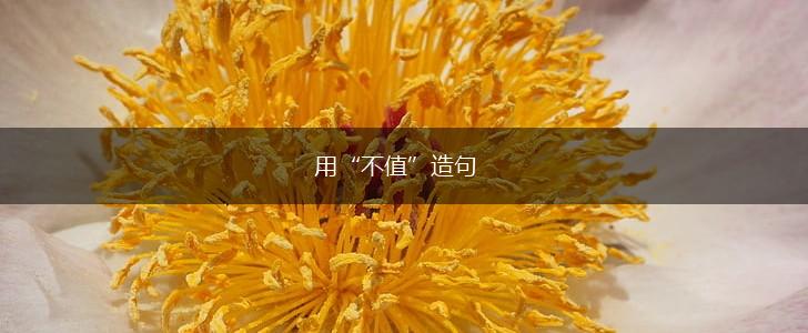 用“不值”造句,第1张