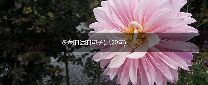 多余的话的句子(共20句),第1张