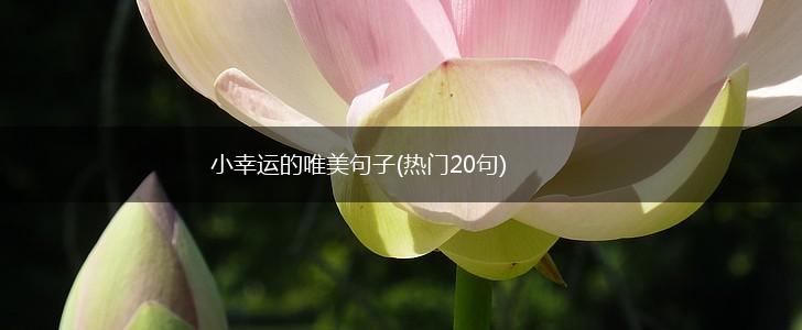 小幸运的唯美句子(热门20句),第1张