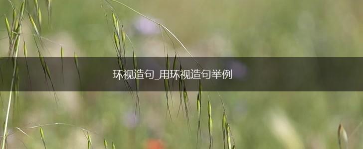 环视造句_用环视造句举例,第1张