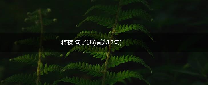将夜 句子迷(精选17句),第1张