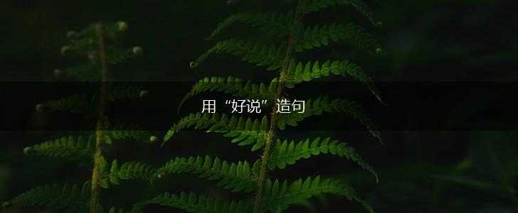 用“好说”造句,第1张