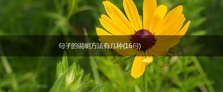 句子的说明方法有几种(16句),第1张