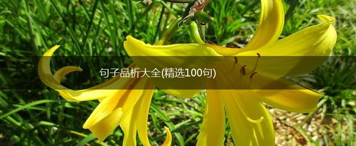 句子品析大全(精选100句),第1张
