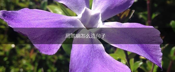 用驾崩怎么造句子,第1张