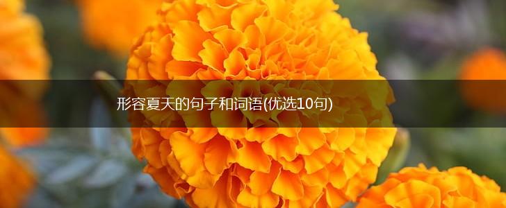 形容夏天的句子和词语(优选10句),第1张