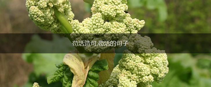 苟活造句,苟活的句子,第1张