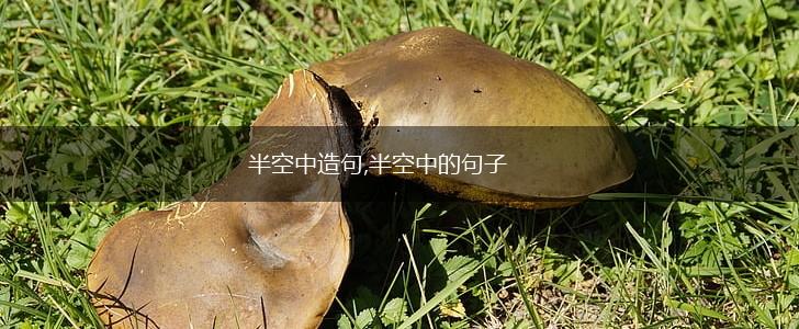 半空中造句,半空中的句子,第1张