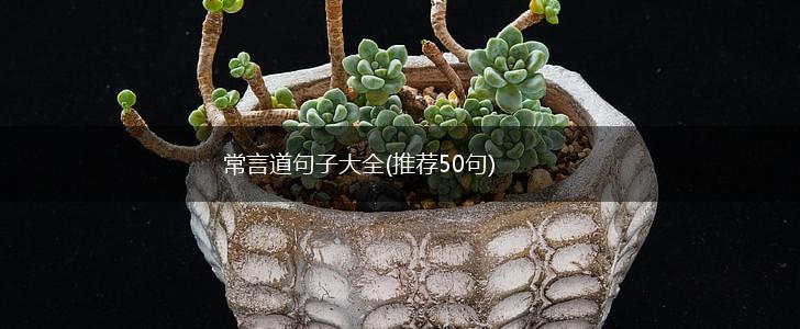 常言道句子大全(推荐50句),第1张