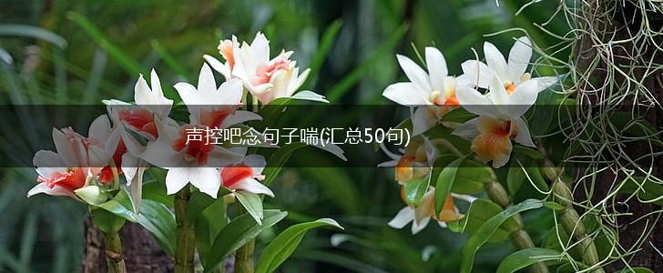声控吧念句子喘(汇总50句),第1张