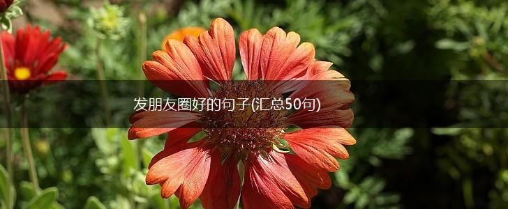 发朋友圈好的句子(汇总50句),第1张