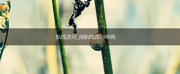 航线造句_用航线造句举例,第1张