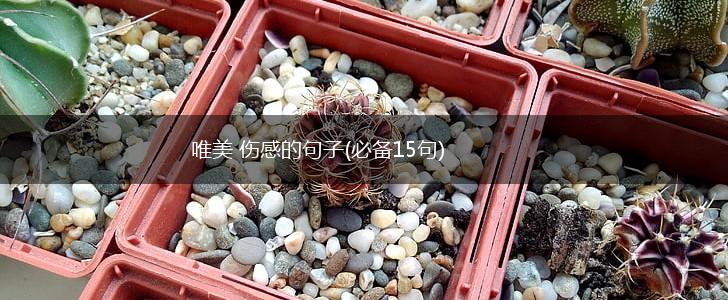 唯美 伤感的句子(必备15句),第1张