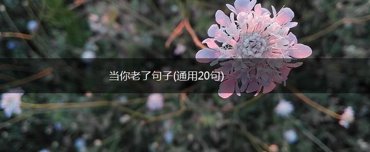 当你老了句子(通用20句),第1张