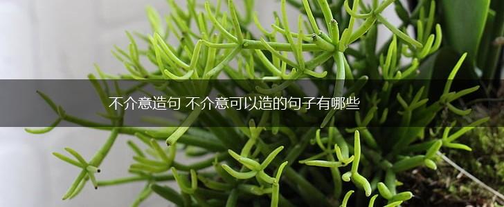 不介意造句 不介意可以造的句子有哪些,第1张