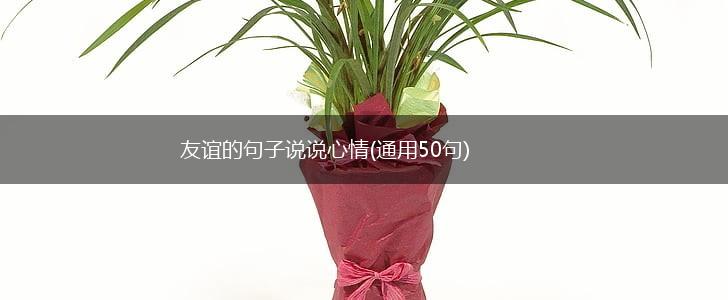 友谊的句子说说心情(通用50句),第1张