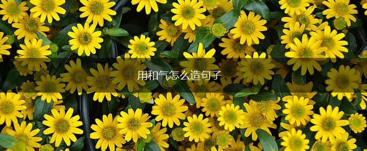 用和气怎么造句子,第1张