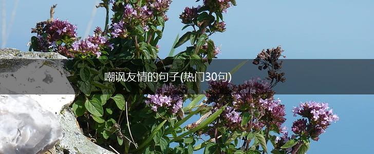 嘲讽友情的句子(热门30句),第1张